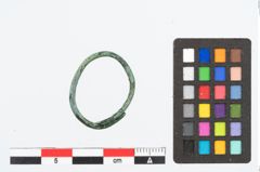 Foto von Bronzering (NHMW-PRAE-024226)
